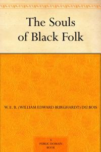 The Souls Of Black Folk Book Summary, by W.E.B. Du Bois