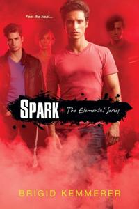 Spark Book Summary, by Brigid Kemmerer