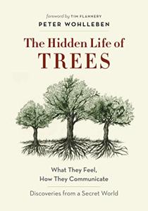 The Hidden Life Of Trees Book Summary, by Peter Wohlleben