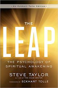 The Leap Book Summary, by Steve Taylor