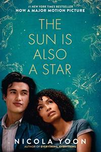 The Sun Is Also A Star Book Summary, by Nicola Yoon