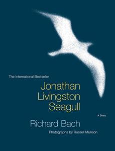 Jonathan Livingston Seagull Book Summary, by Richard Bach